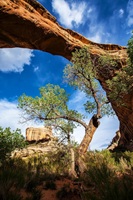Natural Bridges National Monument Utah USA